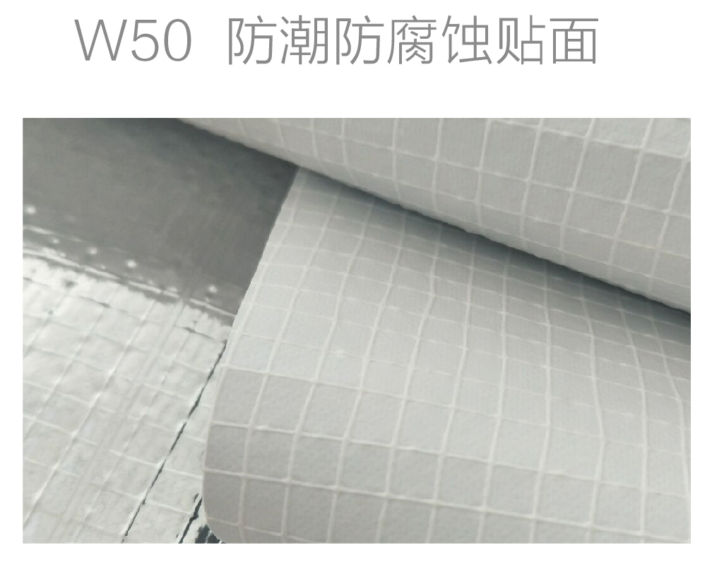 W50防潮防腐蝕貼面