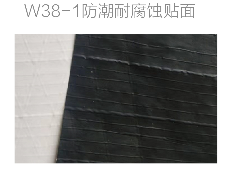W38-I防潮耐腐蝕貼面