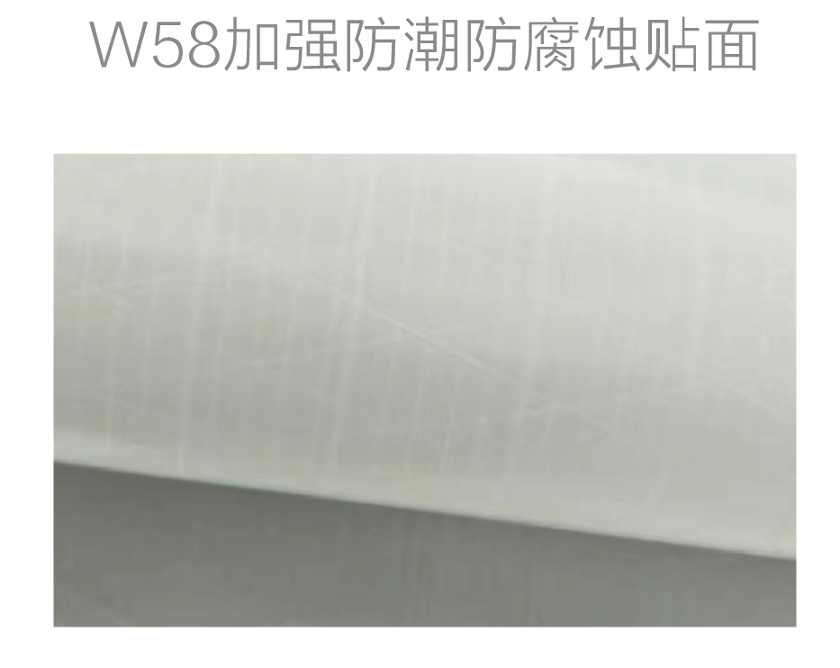 W58加強防潮防腐蝕貼面